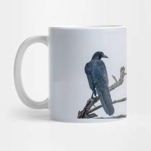 Great Tailed Grackle Perched Mug